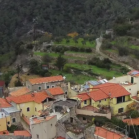 Dalu 菲纳莱利古雷