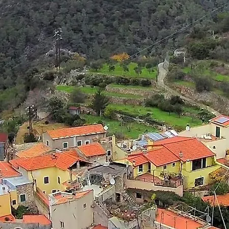 Dalu