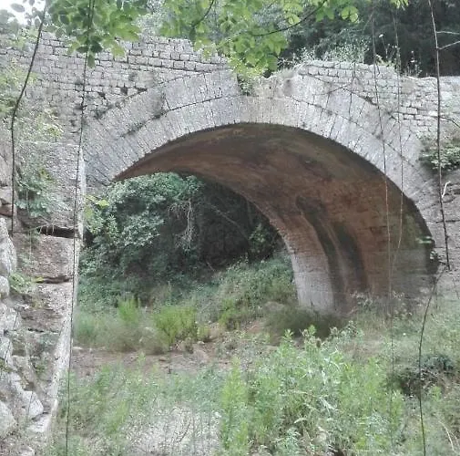 Dalu Отель типа 